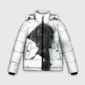Зимняя куртка для мальчиков 3D с принтом щенок Кане Корсо в Белгороде, ткань верха — 100% полиэстер; подклад — 100% полиэстер, утеплитель — 100% полиэстер | длина ниже бедра, удлиненная спинка, воротник стойка и отстегивающийся капюшон. Есть боковые карманы с листочкой на кнопках, утяжки по низу изделия и внутренний карман на молнии. 

Предусмотрены светоотражающий принт на спинке, радужный светоотражающий элемент на пуллере молнии и на резинке для утяжки | Тематика изображения на принте: animal | black | break | breed | dog | kid | paper | puppy | tear | torn | дог | животное | малыш | порода | прорыв | разрыв | рваная | собака | черный | щенок