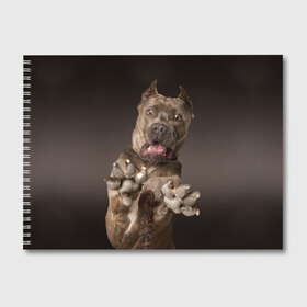 Альбом для рисования с принтом Кане корсо в Белгороде, 100% бумага
 | матовая бумага, плотность 200 мг. | animal | breed | brown | dog | fear | jump | legs | throw | бросок | дог | животное | испуг | коричневый | лапы | порода | прыжок | собака