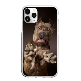 Чехол для iPhone 11 Pro матовый с принтом Кане корсо в Белгороде, Силикон |  | animal | breed | brown | dog | fear | jump | legs | throw | бросок | дог | животное | испуг | коричневый | лапы | порода | прыжок | собака