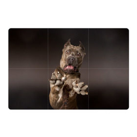 Магнитный плакат 3Х2 с принтом Кане корсо в Белгороде, Полимерный материал с магнитным слоем | 6 деталей размером 9*9 см | animal | breed | brown | dog | fear | jump | legs | throw | бросок | дог | животное | испуг | коричневый | лапы | порода | прыжок | собака