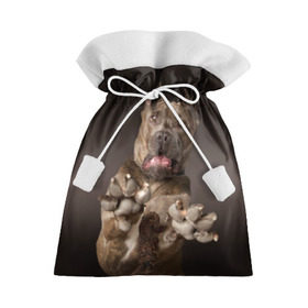 Подарочный 3D мешок с принтом Кане корсо в Белгороде, 100% полиэстер | Размер: 29*39 см | animal | breed | brown | dog | fear | jump | legs | throw | бросок | дог | животное | испуг | коричневый | лапы | порода | прыжок | собака