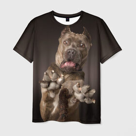 Мужская футболка 3D с принтом Кане корсо в Белгороде, 100% полиэфир | прямой крой, круглый вырез горловины, длина до линии бедер | animal | breed | brown | dog | fear | jump | legs | throw | бросок | дог | животное | испуг | коричневый | лапы | порода | прыжок | собака