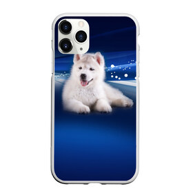 Чехол для iPhone 11 Pro матовый с принтом Щенок хаски в Белгороде, Силикон |  | кутёнок | прикольные картинки | собака | хаска | щенок