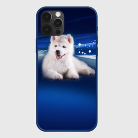 Чехол для iPhone 12 Pro Max с принтом Щенок хаски в Белгороде, Силикон |  | Тематика изображения на принте: кутёнок | прикольные картинки | собака | хаска | щенок