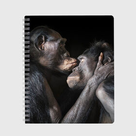 Тетрадь с принтом Шимпанзе в Белгороде, 100% бумага | 48 листов, плотность листов — 60 г/м2, плотность картонной обложки — 250 г/м2. Листы скреплены сбоку удобной пружинной спиралью. Уголки страниц и обложки скругленные. Цвет линий — светло-серый
 | Тематика изображения на принте: chimps | family | feelings | kiss | monkeys | primates | любовь | обезьяны | поцелуй | приматы | семья | чувства | шимпанзе