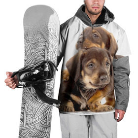Накидка на куртку 3D с принтом Таксы в Белгороде, 100% полиэстер |  | Тематика изображения на принте: brothers | dachshunds | kids | pets | puppies | small dogs | братья | животные | маленькие | малыши | собаки | таксы | щенки