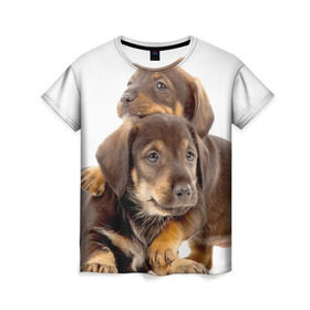 Женская футболка 3D с принтом Таксы в Белгороде, 100% полиэфир ( синтетическое хлопкоподобное полотно) | прямой крой, круглый вырез горловины, длина до линии бедер | brothers | dachshunds | kids | pets | puppies | small dogs | братья | животные | маленькие | малыши | собаки | таксы | щенки