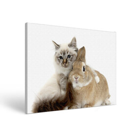 Холст прямоугольный с принтом Кот и кролик в Белгороде, 100% ПВХ |  | cat | cute | fluffy | friends | friendship | hug | kitty | rabbit | toddlers | дружба | друзья | кот | котенок | кролик | любовь | малыши | милые | обнимаются | пушистые