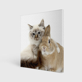 Холст квадратный с принтом Кот и кролик в Белгороде, 100% ПВХ |  | cat | cute | fluffy | friends | friendship | hug | kitty | rabbit | toddlers | дружба | друзья | кот | котенок | кролик | любовь | малыши | милые | обнимаются | пушистые