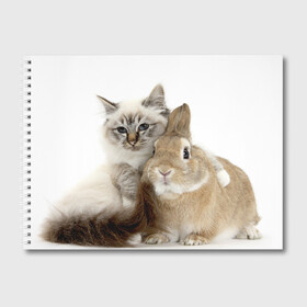 Альбом для рисования с принтом Кот и кролик в Белгороде, 100% бумага
 | матовая бумага, плотность 200 мг. | cat | cute | fluffy | friends | friendship | hug | kitty | rabbit | toddlers | дружба | друзья | кот | котенок | кролик | любовь | малыши | милые | обнимаются | пушистые
