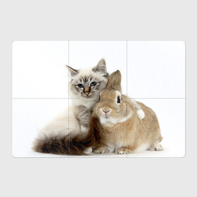 Магнитный плакат 3Х2 с принтом Кот и кролик в Белгороде, Полимерный материал с магнитным слоем | 6 деталей размером 9*9 см | cat | cute | fluffy | friends | friendship | hug | kitty | rabbit | toddlers | дружба | друзья | кот | котенок | кролик | любовь | малыши | милые | обнимаются | пушистые