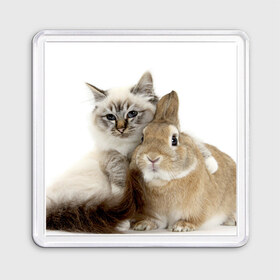 Магнит 55*55 с принтом Кот и кролик в Белгороде, Пластик | Размер: 65*65 мм; Размер печати: 55*55 мм | Тематика изображения на принте: cat | cute | fluffy | friends | friendship | hug | kitty | rabbit | toddlers | дружба | друзья | кот | котенок | кролик | любовь | малыши | милые | обнимаются | пушистые