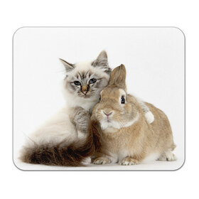 Коврик прямоугольный с принтом Кот и кролик в Белгороде, натуральный каучук | размер 230 х 185 мм; запечатка лицевой стороны | Тематика изображения на принте: cat | cute | fluffy | friends | friendship | hug | kitty | rabbit | toddlers | дружба | друзья | кот | котенок | кролик | любовь | малыши | милые | обнимаются | пушистые