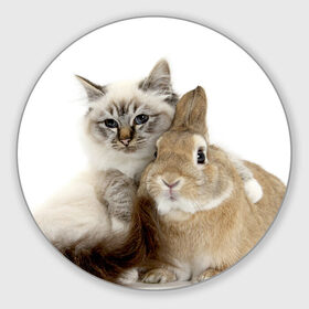 Коврик круглый с принтом Кот и кролик в Белгороде, резина и полиэстер | круглая форма, изображение наносится на всю лицевую часть | cat | cute | fluffy | friends | friendship | hug | kitty | rabbit | toddlers | дружба | друзья | кот | котенок | кролик | любовь | малыши | милые | обнимаются | пушистые