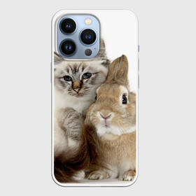 Чехол для iPhone 13 Pro с принтом Кот и кролик в Белгороде,  |  | cat | cute | fluffy | friends | friendship | hug | kitty | rabbit | toddlers | дружба | друзья | кот | котенок | кролик | любовь | малыши | милые | обнимаются | пушистые