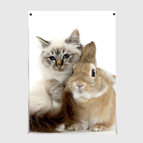 Постер с принтом Кот и кролик в Белгороде, 100% бумага
 | бумага, плотность 150 мг. Матовая, но за счет высокого коэффициента гладкости имеет небольшой блеск и дает на свету блики, но в отличии от глянцевой бумаги не покрыта лаком | cat | cute | fluffy | friends | friendship | hug | kitty | rabbit | toddlers | дружба | друзья | кот | котенок | кролик | любовь | малыши | милые | обнимаются | пушистые