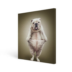 Холст квадратный с принтом Бульдог английский в Белгороде, 100% ПВХ |  | animals | breed | dog | english bulldog | funny | joke | pants | surrealism | бульдог английский | животное | порода | прикол | собака | сюрреализм | шутка