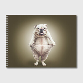 Альбом для рисования с принтом Бульдог английский в Белгороде, 100% бумага
 | матовая бумага, плотность 200 мг. | Тематика изображения на принте: animals | breed | dog | english bulldog | funny | joke | pants | surrealism | бульдог английский | животное | порода | прикол | собака | сюрреализм | шутка