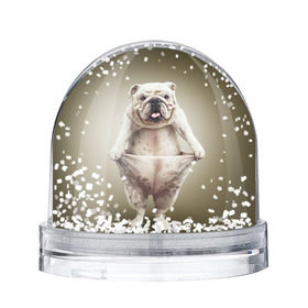 Снежный шар с принтом Бульдог английский в Белгороде, Пластик | Изображение внутри шара печатается на глянцевой фотобумаге с двух сторон | Тематика изображения на принте: animals | breed | dog | english bulldog | funny | joke | pants | surrealism | бульдог английский | животное | порода | прикол | собака | сюрреализм | шутка