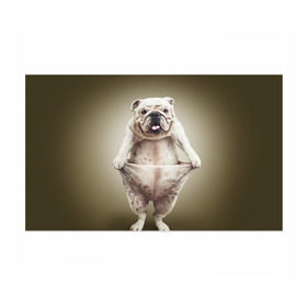 Бумага для упаковки 3D с принтом Бульдог английский в Белгороде, пластик и полированная сталь | круглая форма, металлическое крепление в виде кольца | Тематика изображения на принте: animals | breed | dog | english bulldog | funny | joke | pants | surrealism | бульдог английский | животное | порода | прикол | собака | сюрреализм | шутка