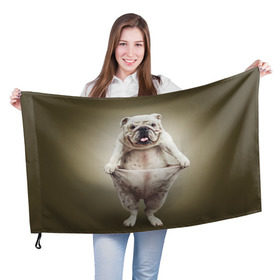 Флаг 3D с принтом Бульдог английский в Белгороде, 100% полиэстер | плотность ткани — 95 г/м2, размер — 67 х 109 см. Принт наносится с одной стороны | animals | breed | dog | english bulldog | funny | joke | pants | surrealism | бульдог английский | животное | порода | прикол | собака | сюрреализм | шутка