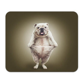 Коврик прямоугольный с принтом Бульдог английский в Белгороде, натуральный каучук | размер 230 х 185 мм; запечатка лицевой стороны | animals | breed | dog | english bulldog | funny | joke | pants | surrealism | бульдог английский | животное | порода | прикол | собака | сюрреализм | шутка