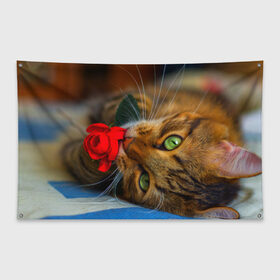 Флаг-баннер с принтом Кошечка в Белгороде, 100% полиэстер | размер 67 х 109 см, плотность ткани — 95 г/м2; по краям флага есть четыре люверса для крепления | животные | кот | кошка | милая