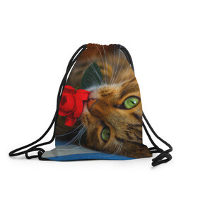 Рюкзак-мешок 3D с принтом Кошечка в Белгороде, 100% полиэстер | плотность ткани — 200 г/м2, размер — 35 х 45 см; лямки — толстые шнурки, застежка на шнуровке, без карманов и подкладки | животные | кот | кошка | милая
