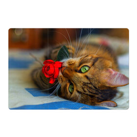 Магнитный плакат 3Х2 с принтом Кошечка в Белгороде, Полимерный материал с магнитным слоем | 6 деталей размером 9*9 см | Тематика изображения на принте: животные | кот | кошка | милая