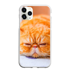 Чехол для iPhone 11 Pro матовый с принтом Рыжий кот в Белгороде, Силикон |  | кот | кошка | милая | рыжий