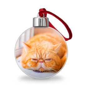 Ёлочный шар с принтом Рыжий кот в Белгороде, Пластик | Диаметр: 77 мм | кот | кошка | милая | рыжий