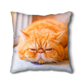 Подушка 3D с принтом Рыжий кот в Белгороде, наволочка – 100% полиэстер, наполнитель – холлофайбер (легкий наполнитель, не вызывает аллергию). | состоит из подушки и наволочки. Наволочка на молнии, легко снимается для стирки | кот | кошка | милая | рыжий