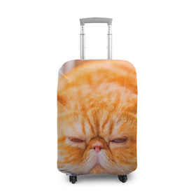 Чехол для чемодана 3D с принтом Рыжий кот в Белгороде, 86% полиэфир, 14% спандекс | двустороннее нанесение принта, прорези для ручек и колес | кот | кошка | милая | рыжий