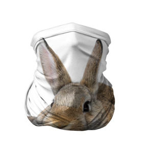 Бандана-труба 3D с принтом Кролики в Белгороде, 100% полиэстер, ткань с особыми свойствами — Activecool | плотность 150‒180 г/м2; хорошо тянется, но сохраняет форму | animals | bunnies | cute | eared | family | fluffy | kids | mom | rabbits | животные | зайцы | кролики | малыши | мама | милые | пушистые | семья | ушастые