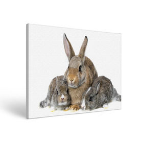 Холст прямоугольный с принтом Кролики в Белгороде, 100% ПВХ |  | animals | bunnies | cute | eared | family | fluffy | kids | mom | rabbits | животные | зайцы | кролики | малыши | мама | милые | пушистые | семья | ушастые