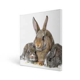Холст квадратный с принтом Кролики в Белгороде, 100% ПВХ |  | animals | bunnies | cute | eared | family | fluffy | kids | mom | rabbits | животные | зайцы | кролики | малыши | мама | милые | пушистые | семья | ушастые