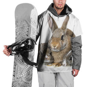 Накидка на куртку 3D с принтом Кролики в Белгороде, 100% полиэстер |  | Тематика изображения на принте: animals | bunnies | cute | eared | family | fluffy | kids | mom | rabbits | животные | зайцы | кролики | малыши | мама | милые | пушистые | семья | ушастые