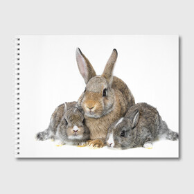 Альбом для рисования с принтом Кролики в Белгороде, 100% бумага
 | матовая бумага, плотность 200 мг. | animals | bunnies | cute | eared | family | fluffy | kids | mom | rabbits | животные | зайцы | кролики | малыши | мама | милые | пушистые | семья | ушастые