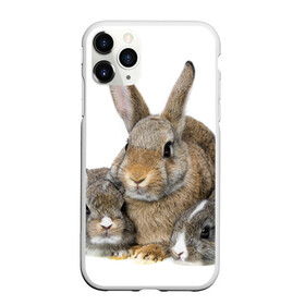 Чехол для iPhone 11 Pro матовый с принтом Кролики в Белгороде, Силикон |  | animals | bunnies | cute | eared | family | fluffy | kids | mom | rabbits | животные | зайцы | кролики | малыши | мама | милые | пушистые | семья | ушастые