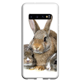 Чехол для Samsung Galaxy S10 с принтом Кролики в Белгороде, Силикон | Область печати: задняя сторона чехла, без боковых панелей | Тематика изображения на принте: animals | bunnies | cute | eared | family | fluffy | kids | mom | rabbits | животные | зайцы | кролики | малыши | мама | милые | пушистые | семья | ушастые