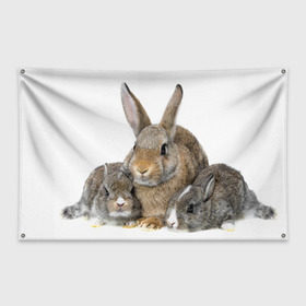 Флаг-баннер с принтом Кролики в Белгороде, 100% полиэстер | размер 67 х 109 см, плотность ткани — 95 г/м2; по краям флага есть четыре люверса для крепления | animals | bunnies | cute | eared | family | fluffy | kids | mom | rabbits | животные | зайцы | кролики | малыши | мама | милые | пушистые | семья | ушастые