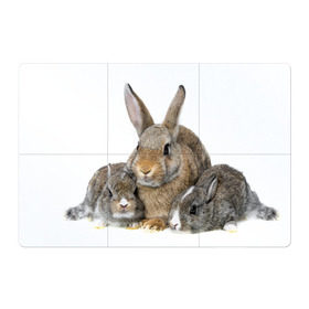 Магнитный плакат 3Х2 с принтом Кролики в Белгороде, Полимерный материал с магнитным слоем | 6 деталей размером 9*9 см | Тематика изображения на принте: animals | bunnies | cute | eared | family | fluffy | kids | mom | rabbits | животные | зайцы | кролики | малыши | мама | милые | пушистые | семья | ушастые