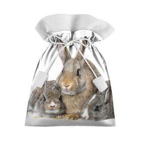 Подарочный 3D мешок с принтом Кролики в Белгороде, 100% полиэстер | Размер: 29*39 см | Тематика изображения на принте: animals | bunnies | cute | eared | family | fluffy | kids | mom | rabbits | животные | зайцы | кролики | малыши | мама | милые | пушистые | семья | ушастые
