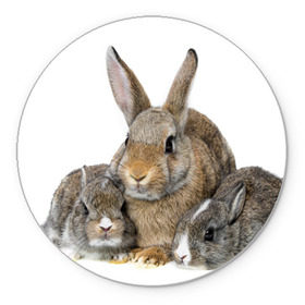 Коврик круглый с принтом Кролики в Белгороде, резина и полиэстер | круглая форма, изображение наносится на всю лицевую часть | Тематика изображения на принте: animals | bunnies | cute | eared | family | fluffy | kids | mom | rabbits | животные | зайцы | кролики | малыши | мама | милые | пушистые | семья | ушастые