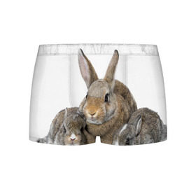 Мужские трусы 3D с принтом Кролики в Белгороде, 50% хлопок, 50% полиэстер | классическая посадка, на поясе мягкая тканевая резинка | Тематика изображения на принте: animals | bunnies | cute | eared | family | fluffy | kids | mom | rabbits | животные | зайцы | кролики | малыши | мама | милые | пушистые | семья | ушастые