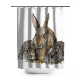 Штора 3D для ванной с принтом Кролики в Белгороде, 100% полиэстер | плотность материала — 100 г/м2. Стандартный размер — 146 см х 180 см. По верхнему краю — пластиковые люверсы для креплений. В комплекте 10 пластиковых колец | animals | bunnies | cute | eared | family | fluffy | kids | mom | rabbits | животные | зайцы | кролики | малыши | мама | милые | пушистые | семья | ушастые