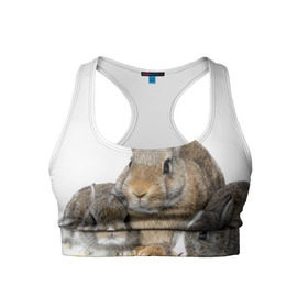 Женский спортивный топ 3D с принтом Кролики в Белгороде, 82% полиэстер, 18% спандекс Ткань безопасна для здоровья, позволяет коже дышать, не мнется и не растягивается |  | animals | bunnies | cute | eared | family | fluffy | kids | mom | rabbits | животные | зайцы | кролики | малыши | мама | милые | пушистые | семья | ушастые