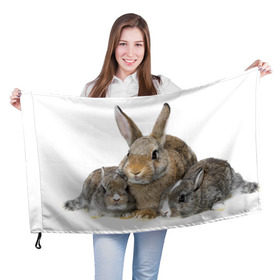 Флаг 3D с принтом Кролики в Белгороде, 100% полиэстер | плотность ткани — 95 г/м2, размер — 67 х 109 см. Принт наносится с одной стороны | animals | bunnies | cute | eared | family | fluffy | kids | mom | rabbits | животные | зайцы | кролики | малыши | мама | милые | пушистые | семья | ушастые