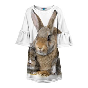 Детское платье 3D с принтом Кролики в Белгороде, 100% полиэстер | прямой силуэт, чуть расширенный к низу. Круглая горловина, на рукавах — воланы | Тематика изображения на принте: animals | bunnies | cute | eared | family | fluffy | kids | mom | rabbits | животные | зайцы | кролики | малыши | мама | милые | пушистые | семья | ушастые