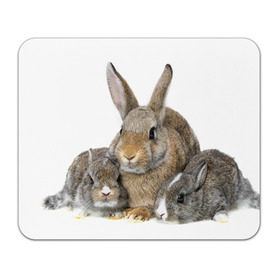 Коврик прямоугольный с принтом Кролики в Белгороде, натуральный каучук | размер 230 х 185 мм; запечатка лицевой стороны | animals | bunnies | cute | eared | family | fluffy | kids | mom | rabbits | животные | зайцы | кролики | малыши | мама | милые | пушистые | семья | ушастые